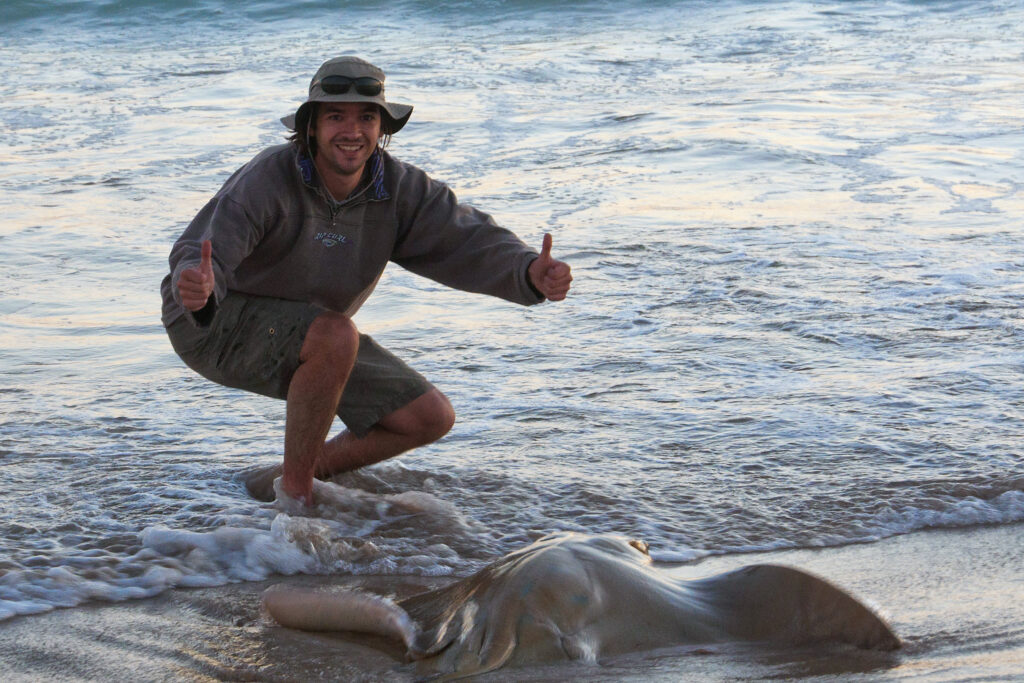 Stingray caught from the beach