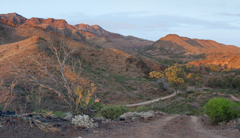 Parachilna Gorge Free Camping Flinders Ranges