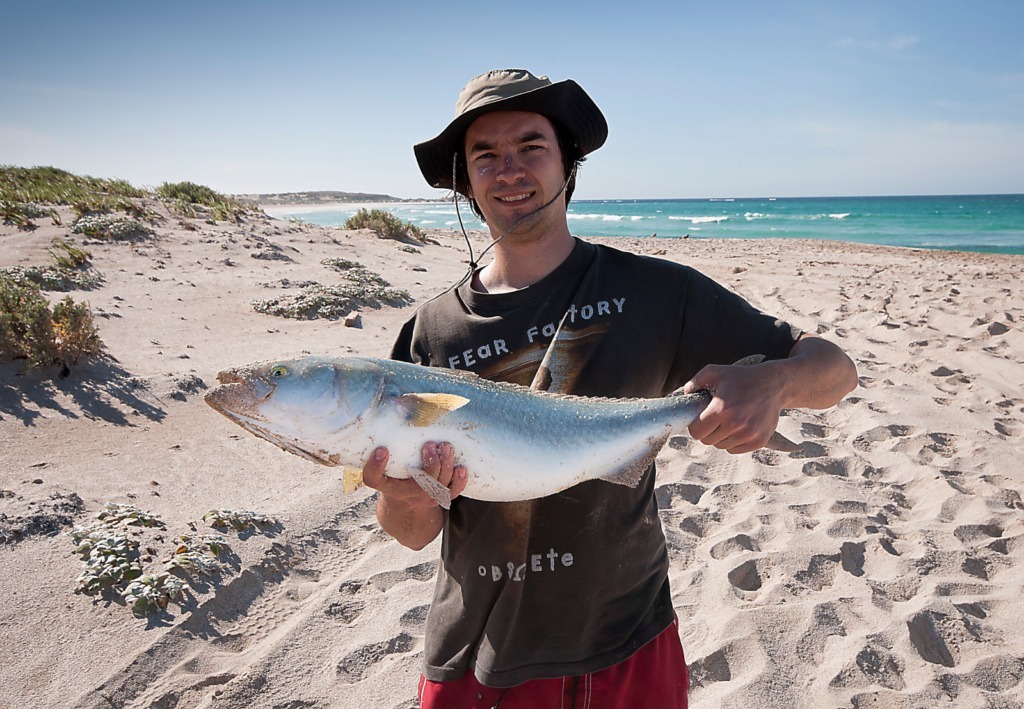 A big salmon caught from Scotts Beach Fowlers Bay