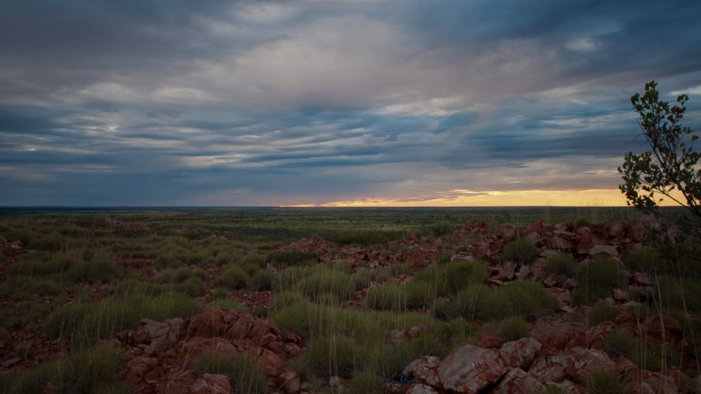 Tanami Desert