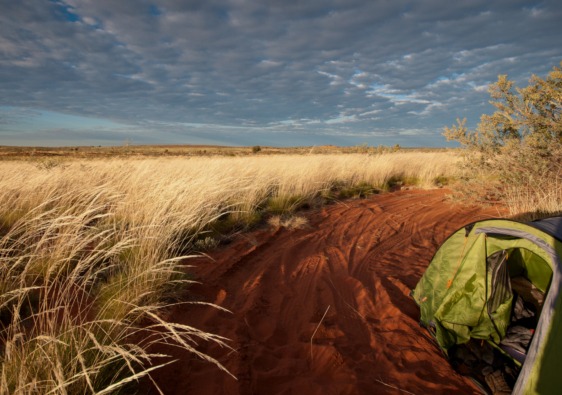 Camping Tanami Track