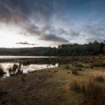 Lake Gairdner Free Camping Area