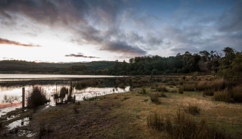 Lake Gairdner Free Camping Area