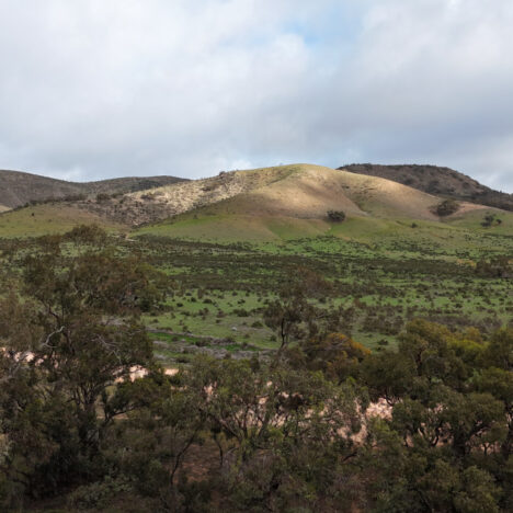 Mulga Creek Hotel